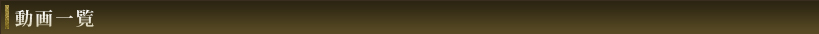動画一覧